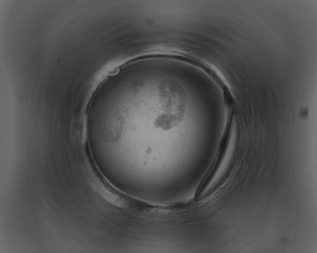 X0000091731371200708241403