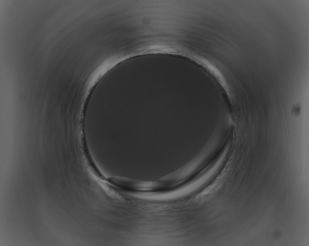 X0000091731373200708241403