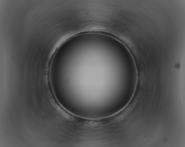 X0000091731374200708241403