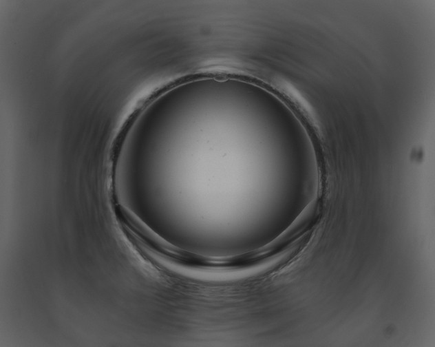 X0000091731376200708241403