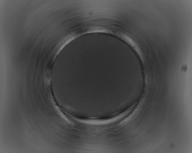 X0000091731377200708241403