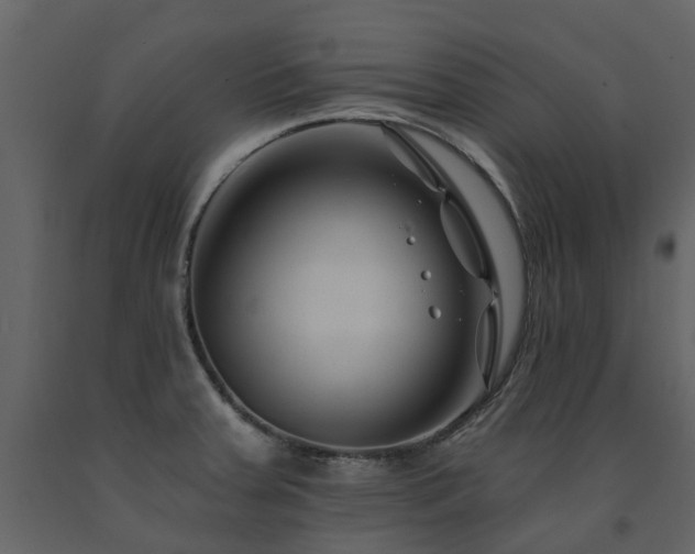 X0000091731379200708241403