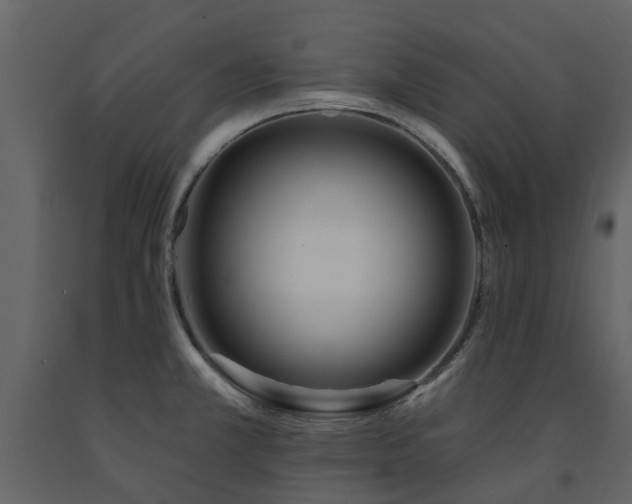 X0000091731381200708241403