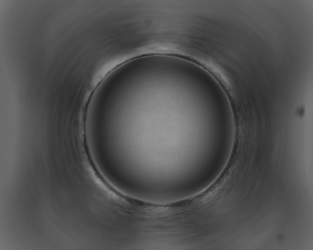 X0000091731382200708241402