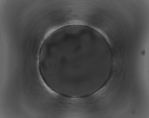X0000091731383200708241402