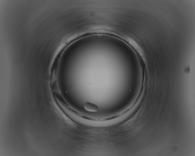 X0000091731384200708241402