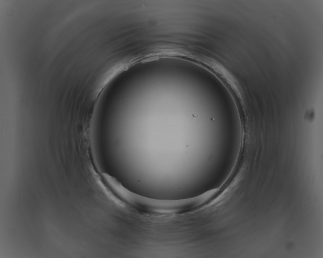 X0000091731385200708241402