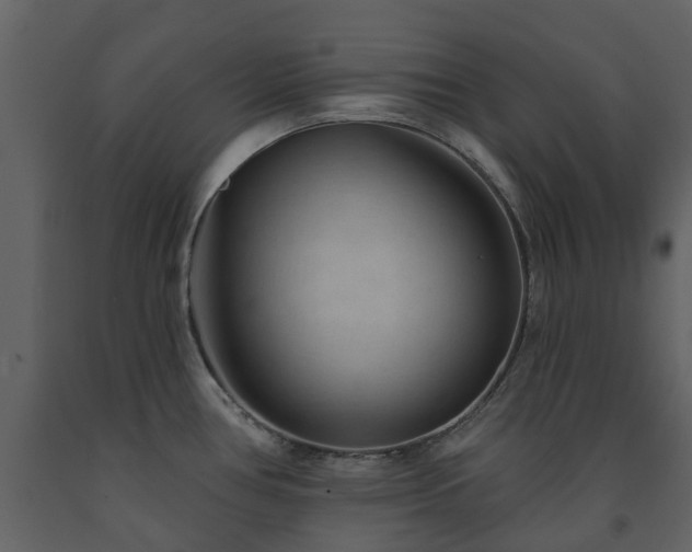 X0000091731386200708241402