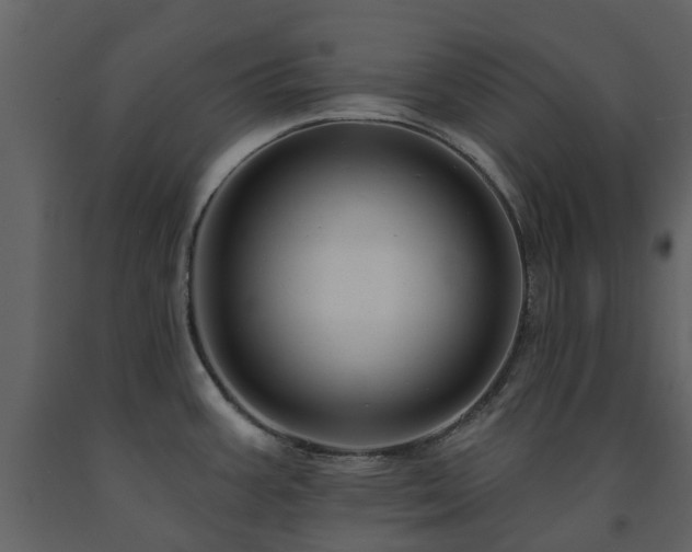 X0000091731387200708241402