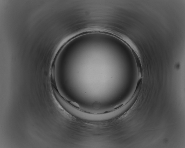X0000091731388200708241402