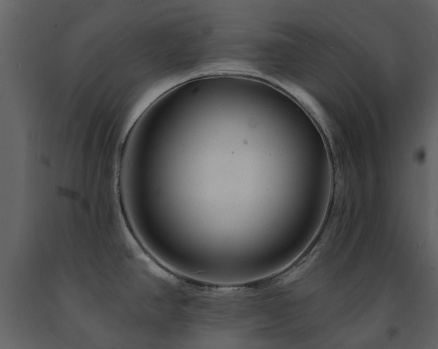 X0000091731390200708241402