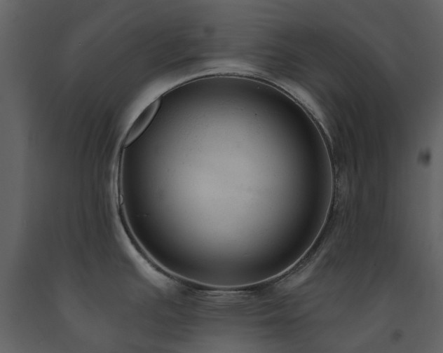 X0000091731391200708241402