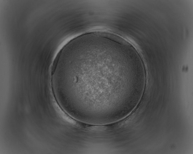 X0000091731392200708241402