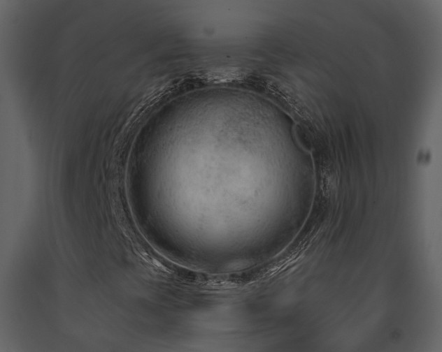 X0000091731393200708241402