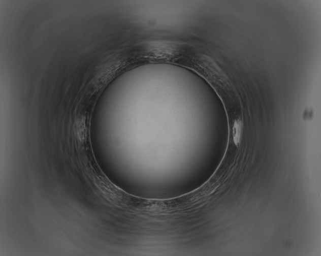 X0000091731395200708241402