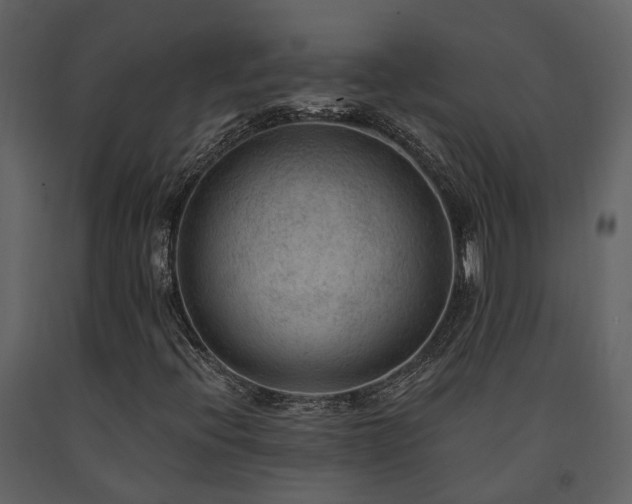 X0000091731396200708241402