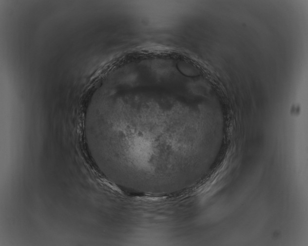 X0000091731397200708241402