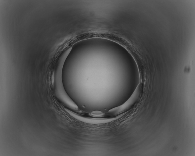 X0000091731398200708241402