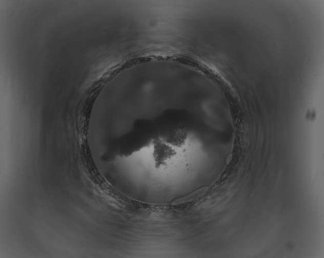 X0000091731399200708241402