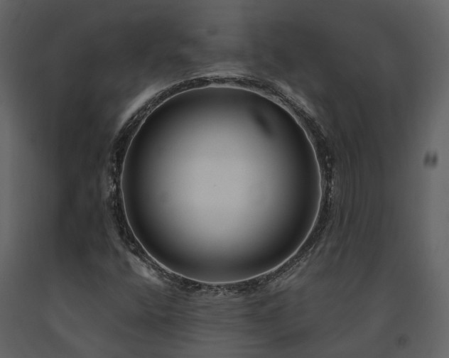 X0000091731400200708241402