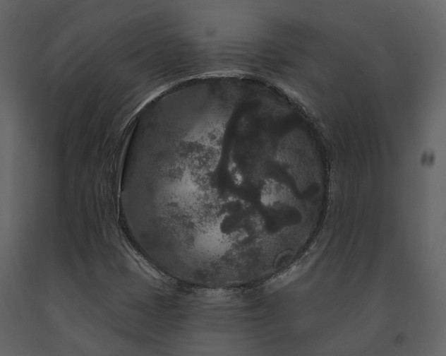 X0000091731401200708241402