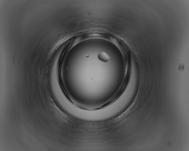 X0000091731402200708241402