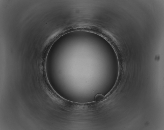 X0000091731403200708241402