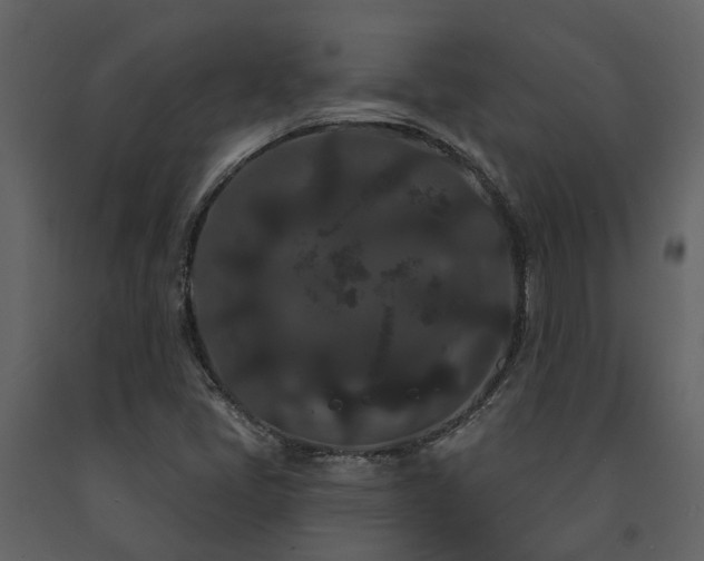X0000091731405200708241402