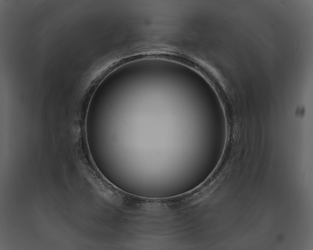 X0000091731407200708241402