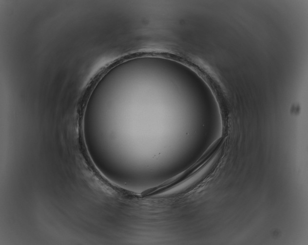 X0000091731408200708241402