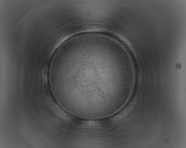 X0000091731409200708241402