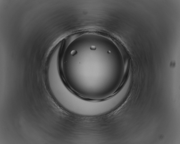 X0000091731410200708241402