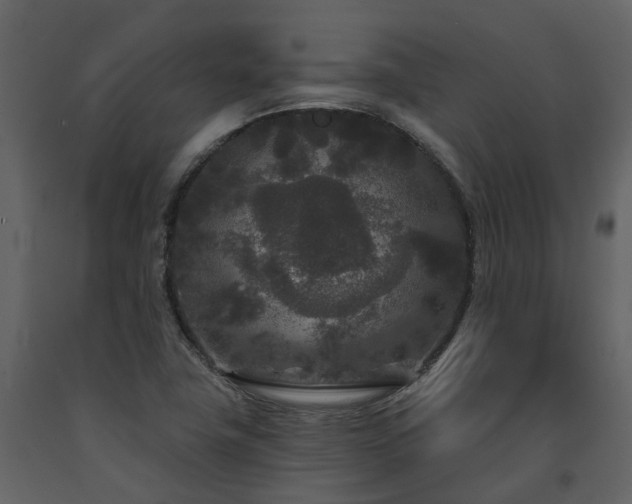 X0000091731411200708241402