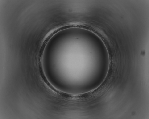 X0000091731412200708241402