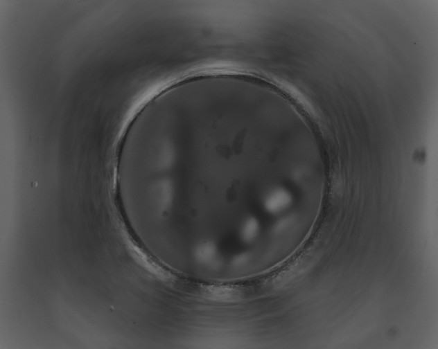X0000091731413200708241402