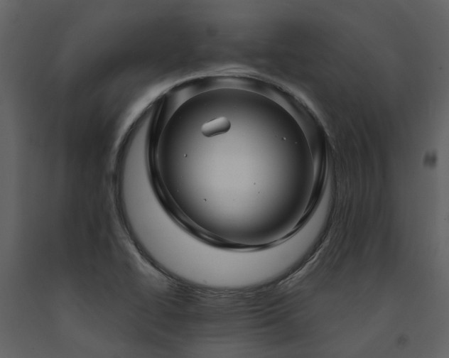 X0000091731414200708241402