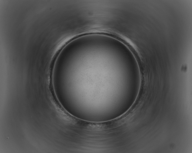X0000091731415200708241402