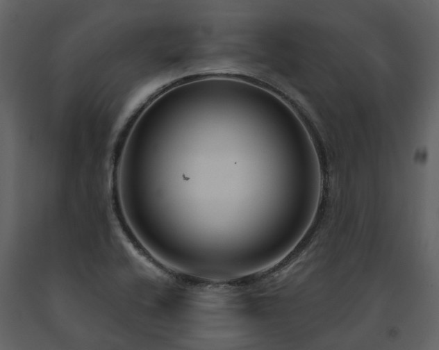 X0000091731416200708241402