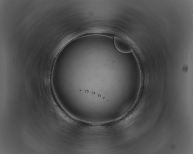 X0000091731417200708241402