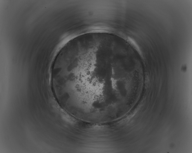 X0000091731419200708241402
