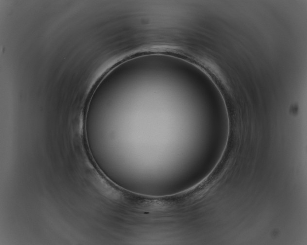 X0000091731420200708241402