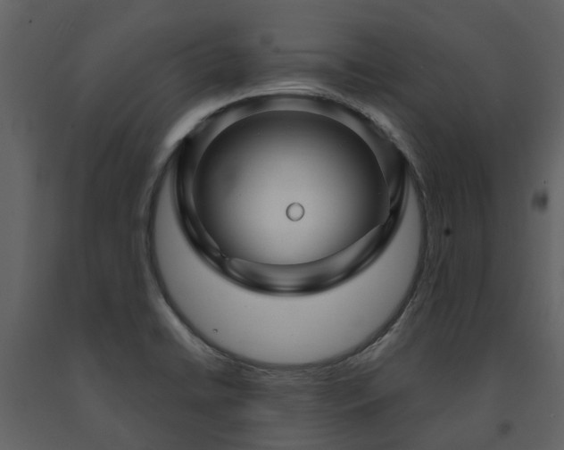 X0000091731422200708241402