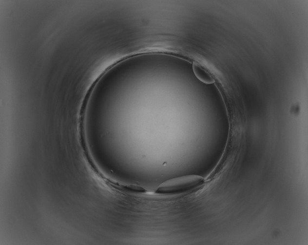 X0000091731423200708241402