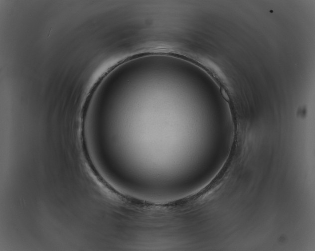 X0000091731424200708241402
