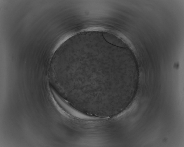 X0000091731425200708241402