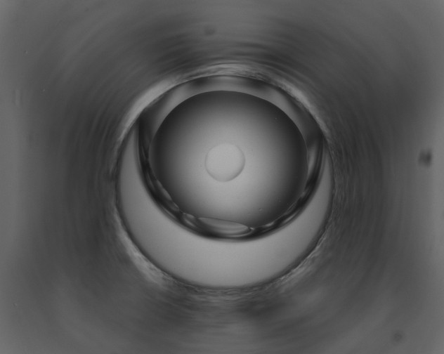 X0000091731426200708241402