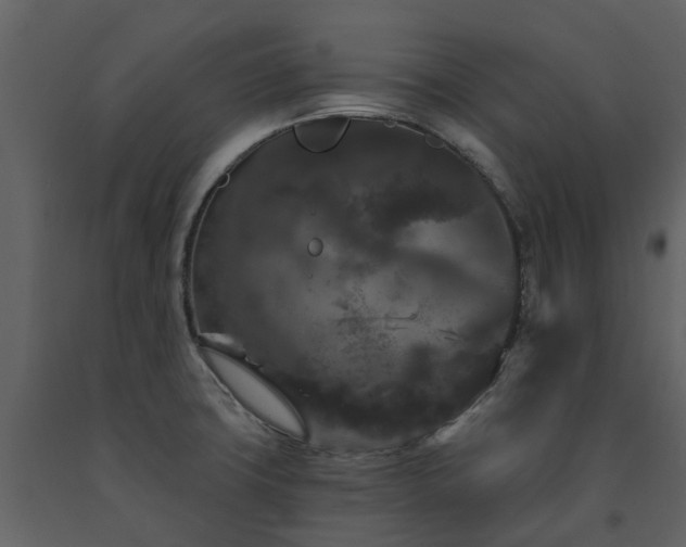 X0000091731427200708241402