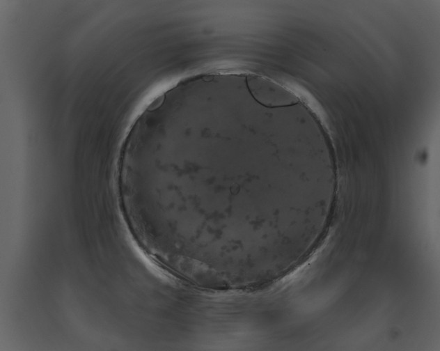 X0000091731429200708241402