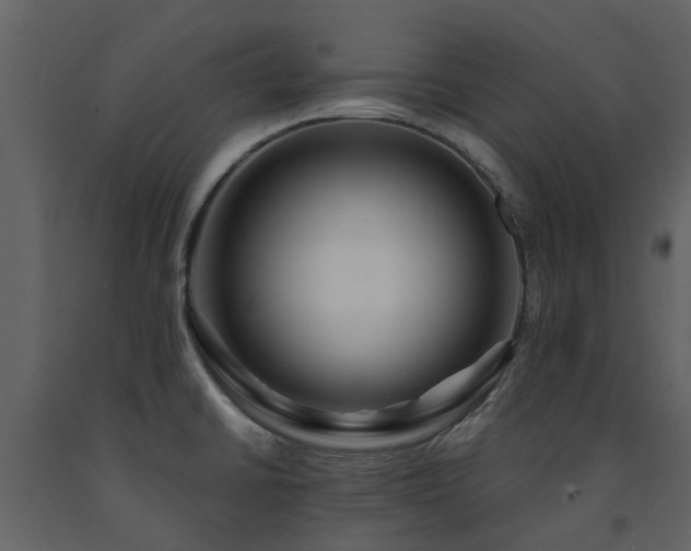 X0000091731430200708241402