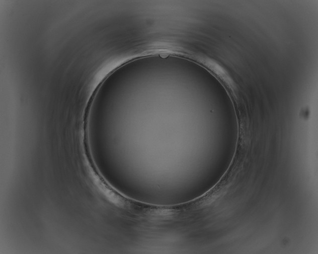 X0000091731431200708241402